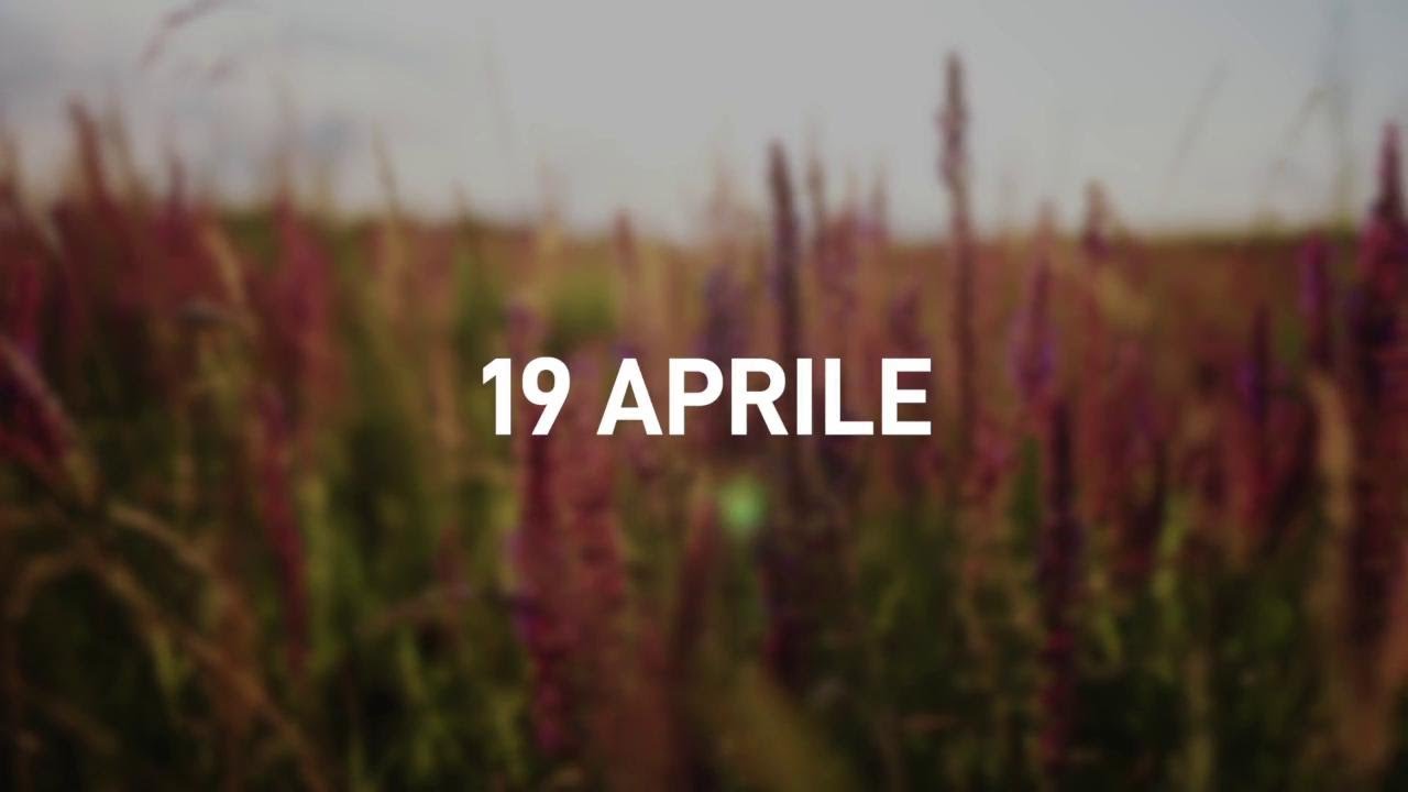 19 Aprile 2025 | Meditazione Parole di Vita