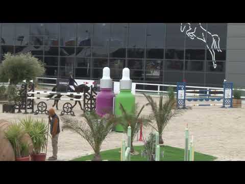 Lint Januar 2019 1,40m-Dirk Ahlmann