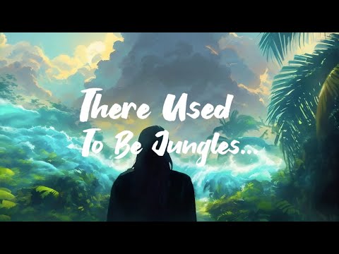 Jungles - Cienfue