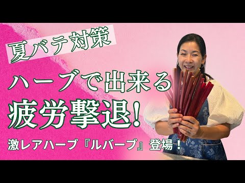 医療ビジネス薬科学科 【夏バテ対策】ハーブで出来る疲労撃退！激レアハーブ『ルバーブ』登場！