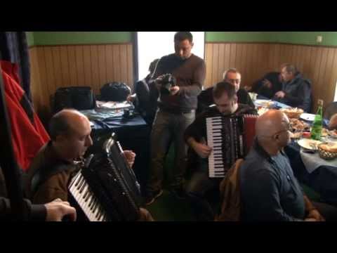 Druzenje prijatelja vlaske muzike - Jabukovac 2015 (Slobodan Domacinovic, Ziva Dinulovic)