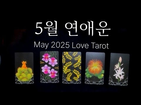 [타로] 5월 연애운 + 신불산 계곡 물소리