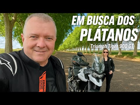 De Tiger 900 GT em busca dos Plátanos