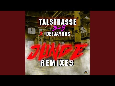 Junge (D-Tune X H.U.P.D. Remix Edit)