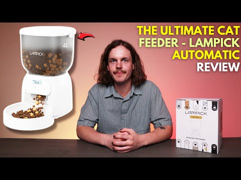 The Ultimate Cat Feeder - LAMPICK Automatic Review!