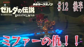 【BtoW】この世の原理を知らない　寄り道がメインのゼルダの実況　12