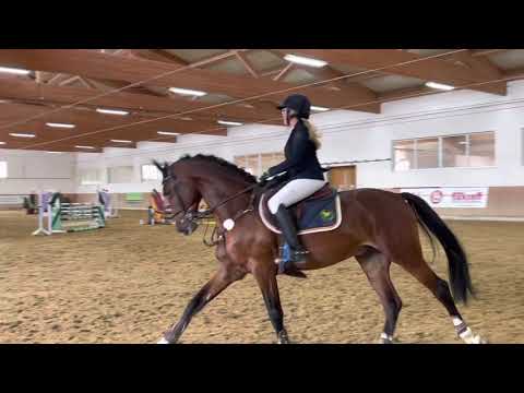 CAMPARI SODA (6yo Crumble) 8.10.21 Blonhofen - 2. Platz SPF A**