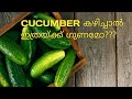 Get Beautiful&Healthy skin with Cucumber|Health Benefits of Cucumber in Malayalam|Aiduzz_loversland#