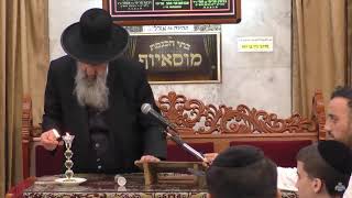 שבת זכור מעלתה וסגולותיה אשר תשפג