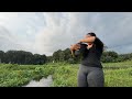 In The Afternoon I Went To The Rice Fields To Look For Fish The Results Were Beyond Expectations