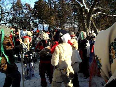 capra primaria faurei(by catalin)2010