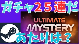 情熱の25連！久しぶりのファナティカルUltimate Mystery Bundleチャレンジ！