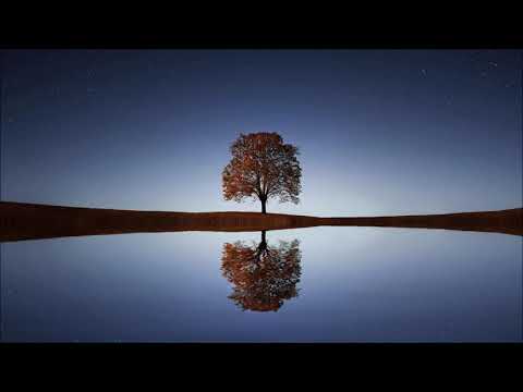 Cafe De Anatolia Meditation - Relaxing Studying Music - Brain Power - Focus Concentration Music