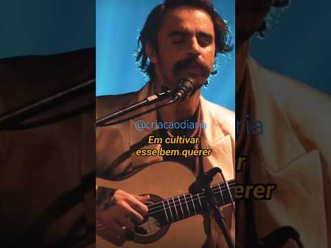 Música: Apesar de Querer/Rodrigo Alarcon. #mpb #shorts #lyrics #sound #musica #letra #fy #viral