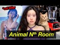 University Students Killing Selling Cat In Blender Cat In Microwave Videos