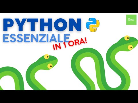 Python Essenziale in 1 ora: impara Python da zero.