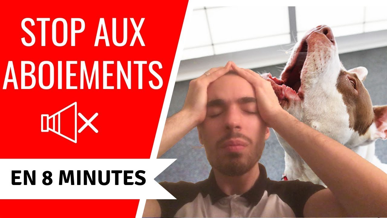 MON CHIEN ABOIE QUAND JE PARS