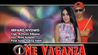 Download lagu Rina Amelia - Separuh Nyowo | Dangdut  mp3