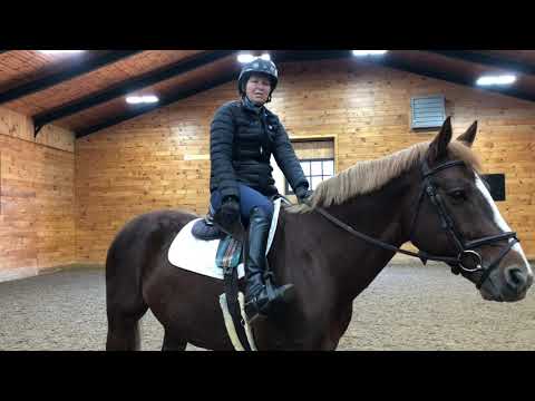 The Madden Method - Mounting and Dismounting