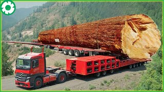 101 Extreme Dangerous Transport Skill Operations Oversize Truck | Biggest Heavy Machinery Machines