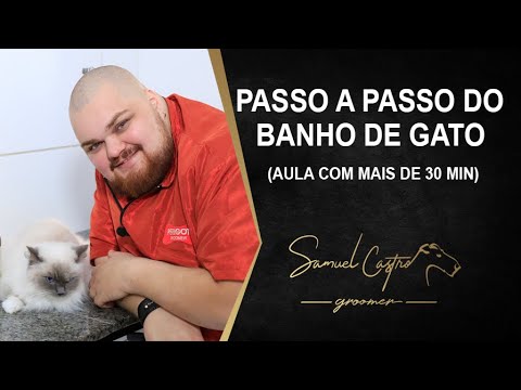 PASSO A PASSO DO BANHO DE GATO - Aula com mais de 30 min. - SAMUEL CASTRO