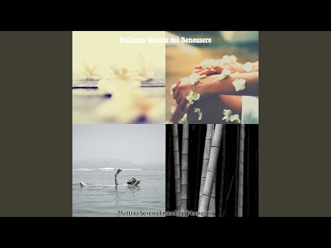 Stati d'Animo, Salute e Benessere Domenica