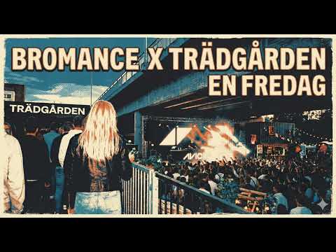 Avicii x Veronica Maggio [Bromance, Trädgården en fredag] Mashup
