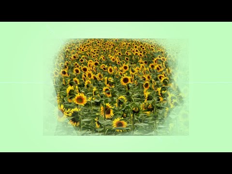 [FREE] Lomepal x Old school Lofi Type Beat 2020 - "BALADE" 🏞 - Instru Rap 2020