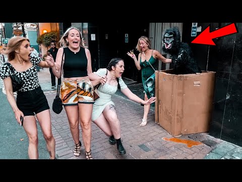 Top FUNNIEST Compilation of Gorilla & Bushman Prank/ AWESOME REACTIONS
