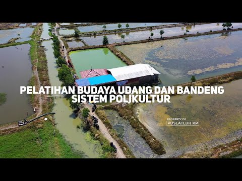 Pelatihan Budidaya Ikan Modern