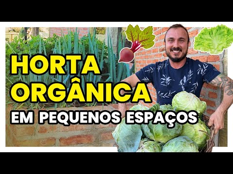 HORTA ORGÂNICA | Como cultivar hortaliças em pequenos espaços