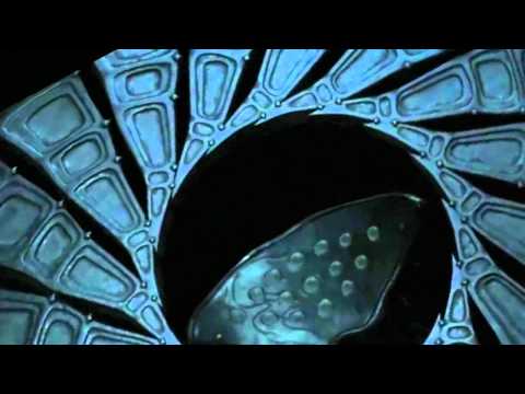 AK-Industry -Nosebleed - Out Now