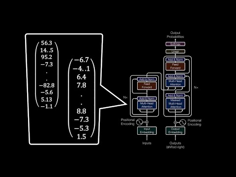 Transformer Embeddings - EXPLAINED!