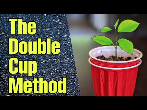 The Double Cup Method to Start Seeds