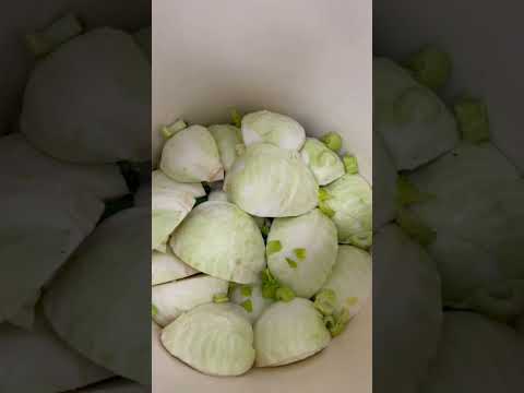 Соленья от шефа 🔥 пальчики оближешь 😋 #кавказ #ресторан #соленья #вкусно #кбр #капуста