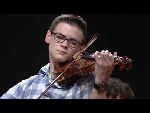 IL PICCOLO VIOLINO MAGICO - Traelnes Arthur