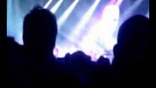 scissor sisters everybody wants the same thing