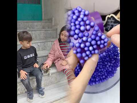 قطه 😸 تحكي تركي وعربي و أوروبي 🤭🤣 اولاد نصبوا علي 500 دولار 💵