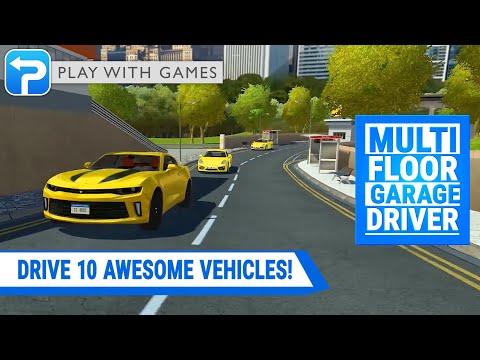 Multi Floor Garage Driver Video