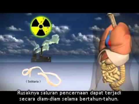 download lagu mp3 mp4 Perfect Combination Conquer 2005, download mp3 Perfect Combination Conquer 2005 free downloadn, video klip Perfect Combination Conquer 2005