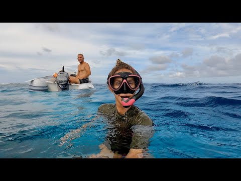 Anchored Among Sharks and Turtles in a Giant Pool - Ep. 304 RAN Sailing