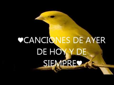 Pajaro Amarillo Combo De Belize  ♥CANCIONES DE AYER DE HOY Y DE SIEMPRE♥