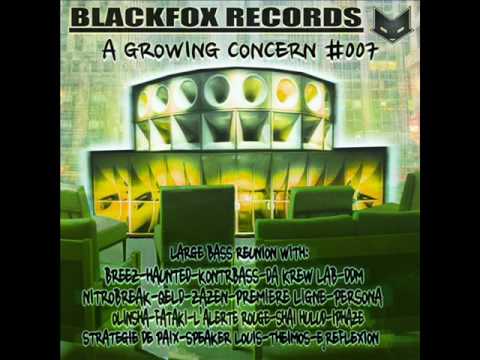 DROWNING DOG & MALATESTA feat ACERO MORETTI - Casa occupata / Blackfox records