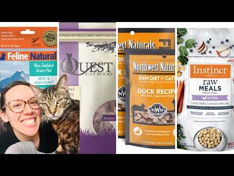 Freeze-dried raw kitten food reviews - Jess Caticles