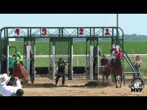 Trump my Record vs El Aguacate