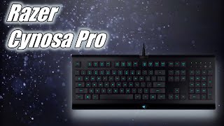 Video thumbnail for Razers budget keyboard. The Cynosa Pro by Tech Babble