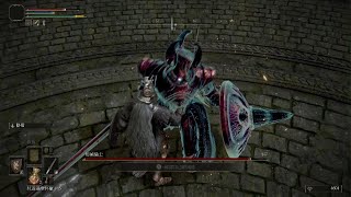 ELDEN RING_Crucible Knight