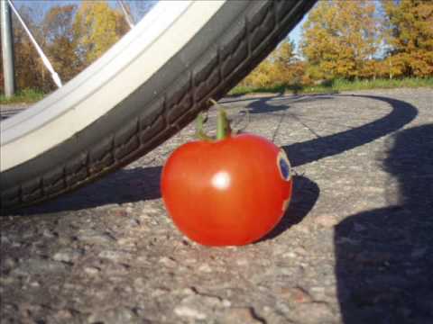 Tomaten
