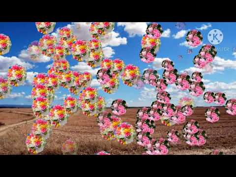 ring tone and music video Abdul Rahim