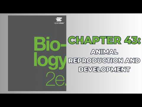 OpenStax Biology 2e (Audiobook) - Chapter 43: Animal Reproduction and Development